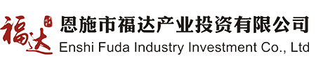 黨建工作 - 恩施市福達產業投資有限公司